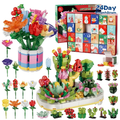 Daisy | Build a Flower Christmas Advent Calendar with 24 DIY Bouquet Kits